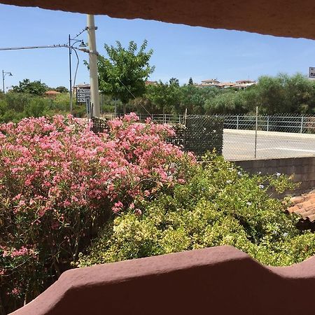Il Fenicottero Rosa Villa Olbia Ngoại thất bức ảnh