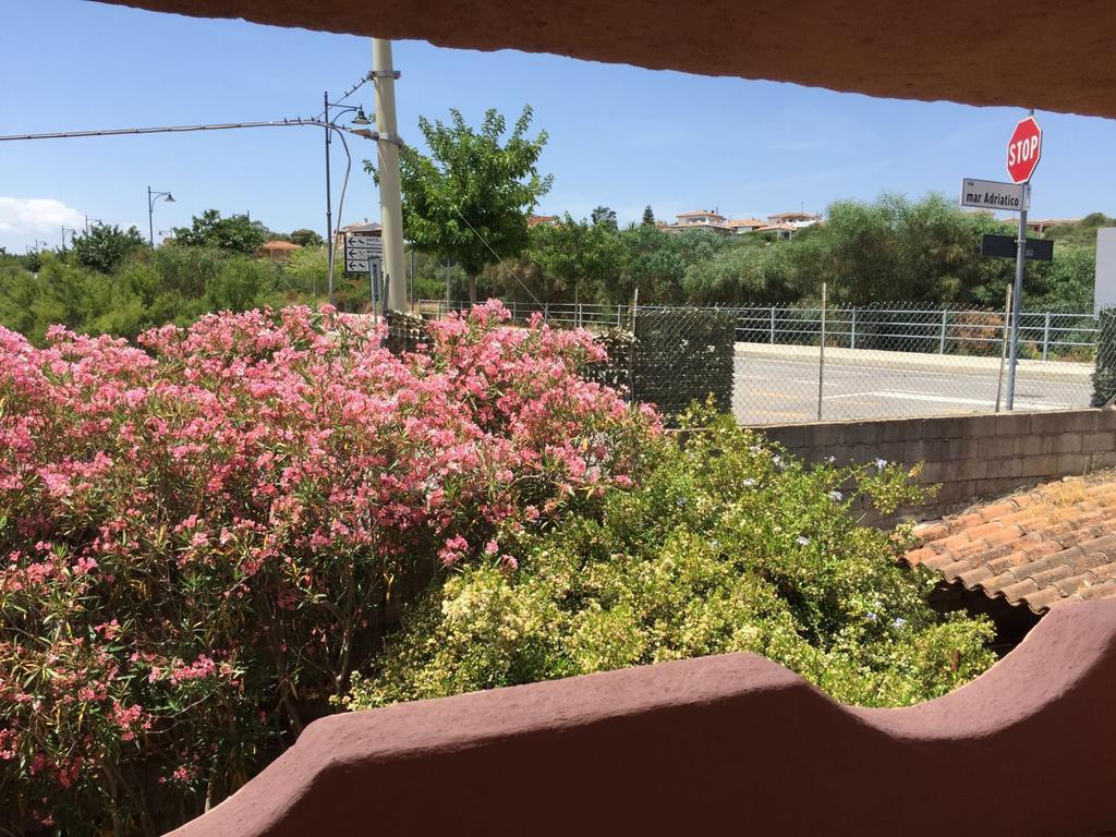 Il Fenicottero Rosa Villa Olbia Ngoại thất bức ảnh